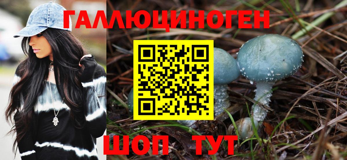 Псилоцибиновые грибы Cubensis  Галлюциногенные грибы мицелий  Вход с VPN  где найти наркотики  Артёмовский 